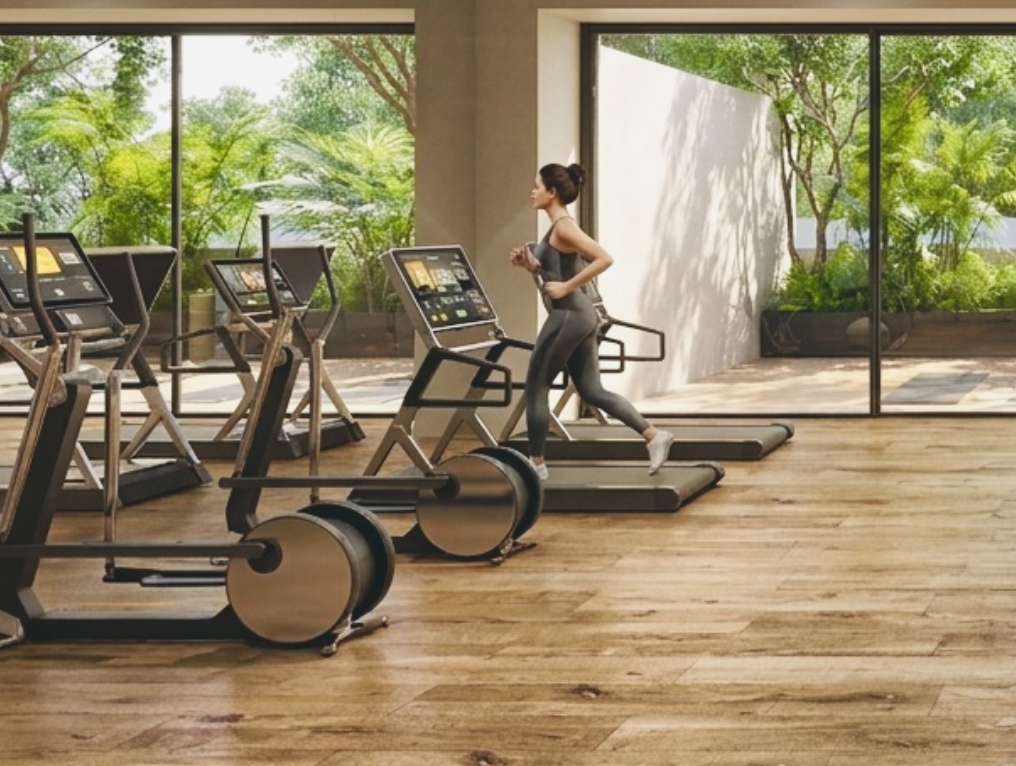 Gimnasio